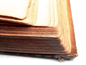 PennyMathes stock.xchng