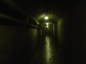 dark cave. pinkp4nt3r. free. stocokxchng