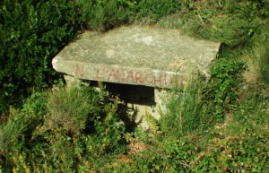 aeronutria free. stockxchng