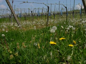 used with permission hkeller. stockxchng