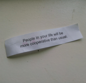 fortune in cookie KD2