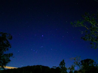 used with permission alma3 stockxchng