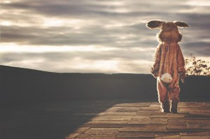 rabbit costume. ryanmcguire. free pixabay
