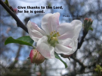 Give thanks meme ps136
