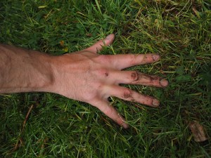 hand-dirty-hans-free-pixabay