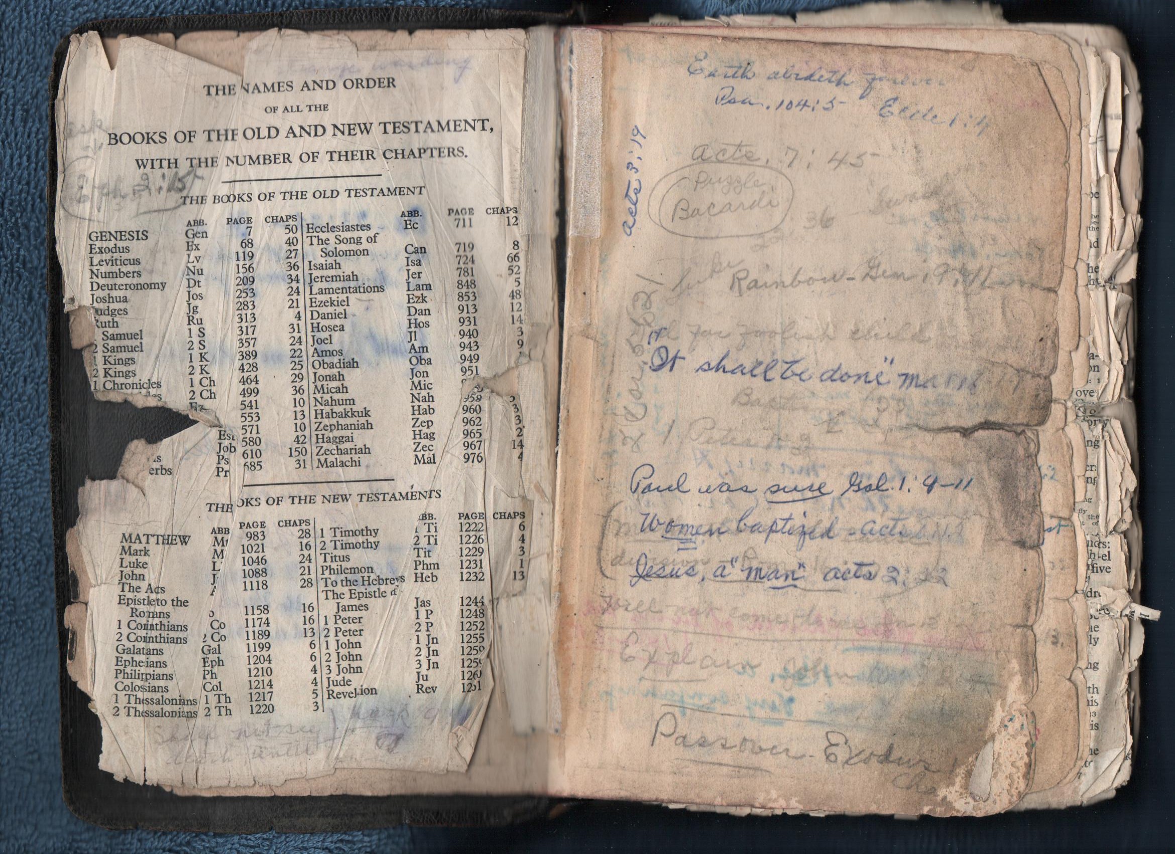 Grandmother's treasured Bible from 1950 with separated, torn, and heavily marked pages, to illustrate how well used it was.